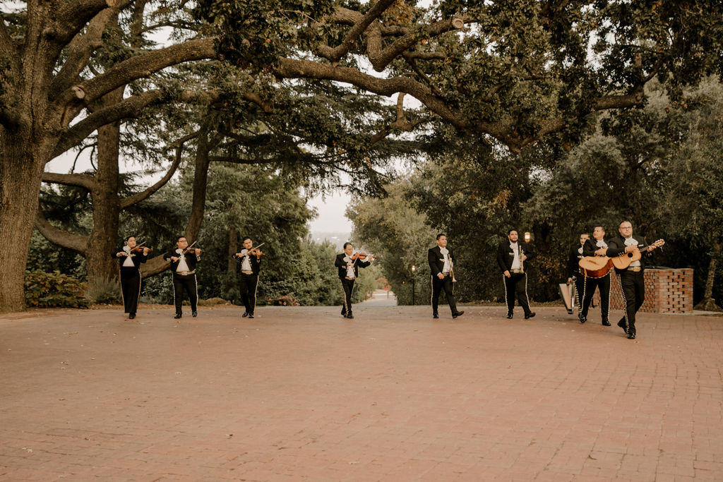 wedding reception mariachi band